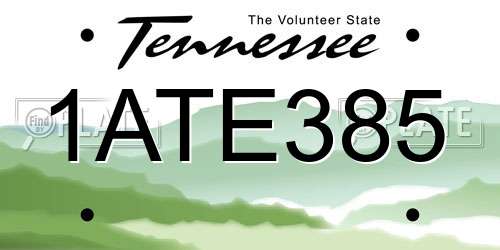 1ATE385 Tennessee License Plate