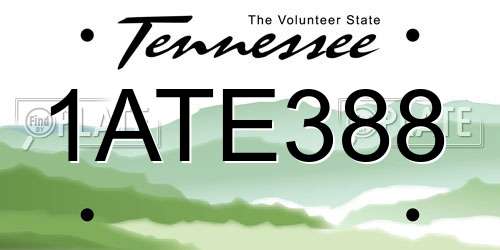 1ATE388 Tennessee License Plate