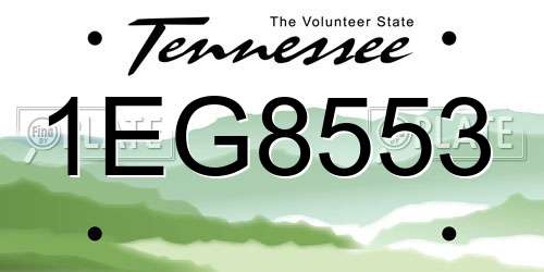 1EG8553 Tennessee License Plate