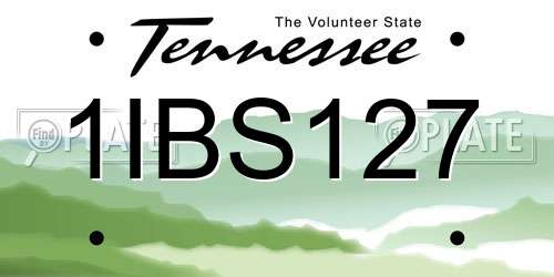 1IBS127 Tennessee License Plate