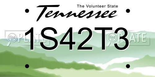 1S42T3 Tennessee License Plate