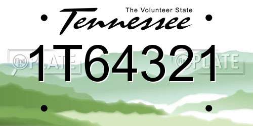 1T64321 Tennessee License Plate