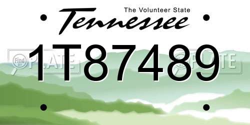1T87489 Tennessee License Plate