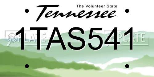 1TAS541 Tennessee License Plate