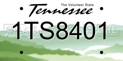 1TS8401 Tennessee License Plate