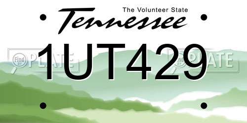 1UT429 Tennessee License Plate