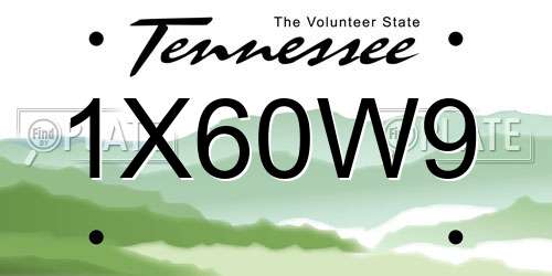 1X60W9 Tennessee License Plate