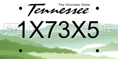 1X73X5 Tennessee License Plate