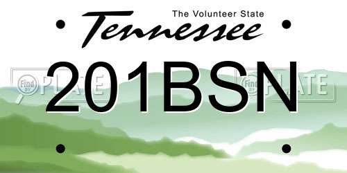 201BSN Tennessee License Plate