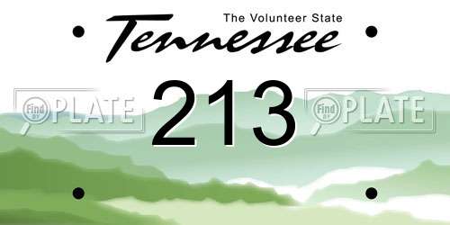 213 Tennessee License Plate