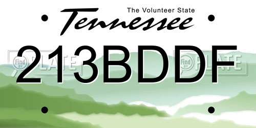 213BDDF Tennessee License Plate