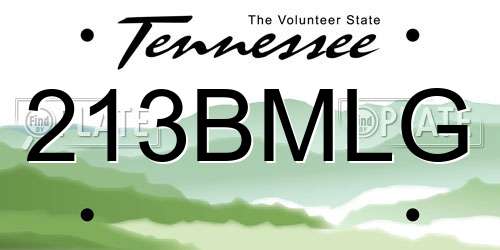 213BMLG Tennessee License Plate