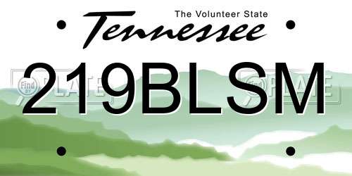 219BLSM Tennessee License Plate