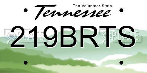 219BRTS Tennessee License Plate