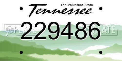 229486 Tennessee License Plate