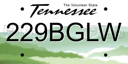 229BGLW Tennessee License Plate