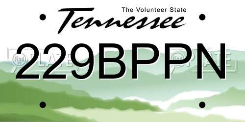 229BPPN Tennessee License Plate