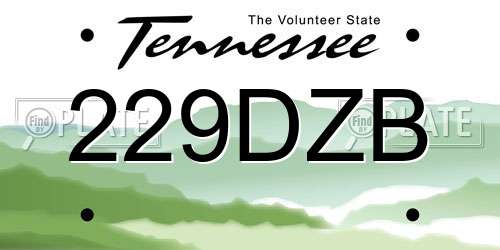 229DZB Tennessee License Plate