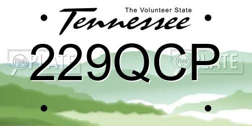 229QCP Tennessee License Plate