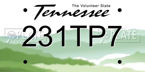 231TP7 Tennessee License Plate