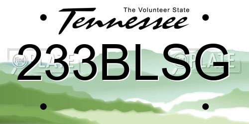 233BLSG Tennessee License Plate