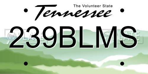 239BLMS Tennessee License Plate
