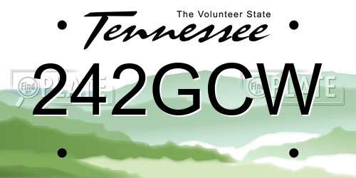 242GCW Tennessee License Plate