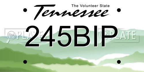245BIP Tennessee License Plate