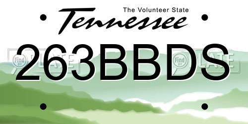 263BBDS Tennessee License Plate