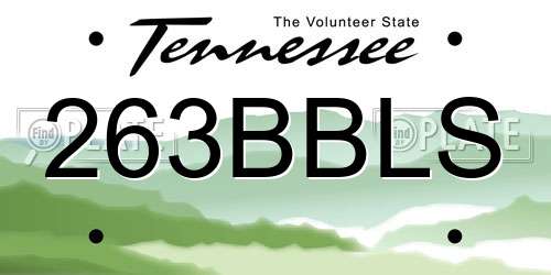 263BBLS Tennessee License Plate