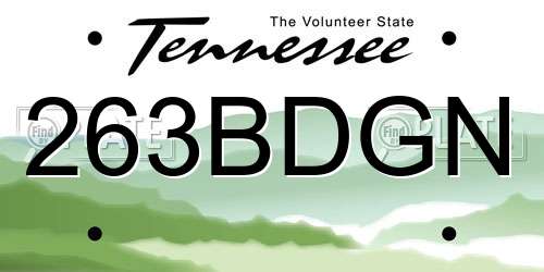 263BDGN Tennessee License Plate