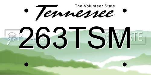 263TSM Tennessee License Plate