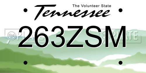 263ZSM Tennessee License Plate