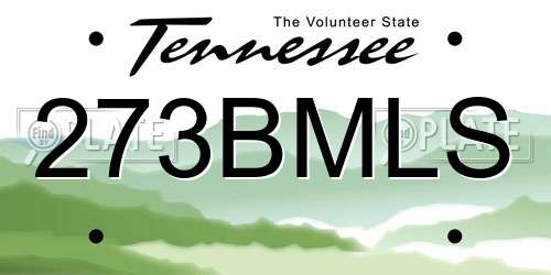 273BMLS Tennessee License Plate