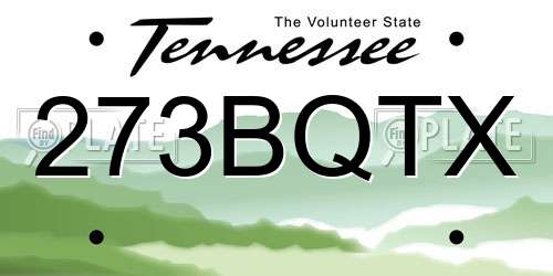 273BQTX Tennessee License Plate