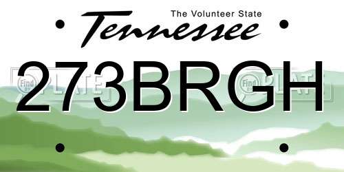 273BRGH Tennessee License Plate