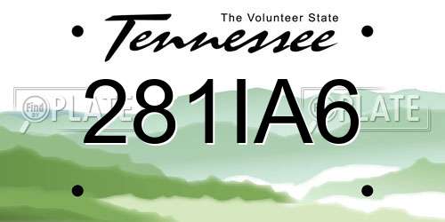 281IA6 Tennessee License Plate