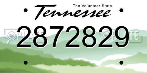 2872829 Tennessee License Plate