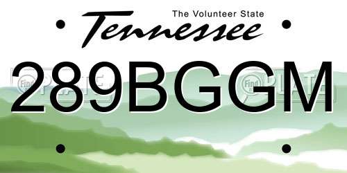 289BGGM Tennessee License Plate