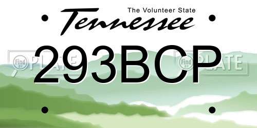 293BCP Tennessee License Plate