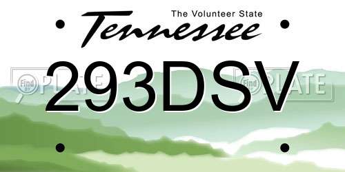293DSV Tennessee License Plate