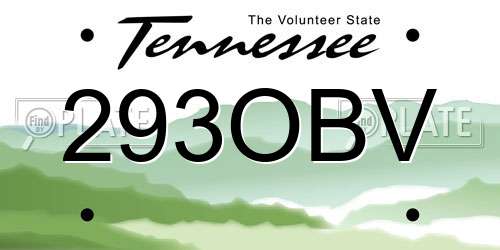 293OBV Tennessee License Plate