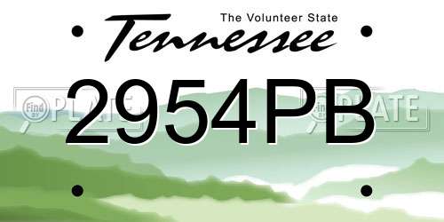 2954PB Tennessee License Plate