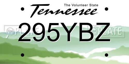 295YBZ Tennessee License Plate