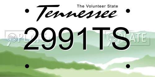 2991TS Tennessee License Plate