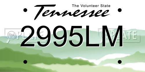 2995LM Tennessee License Plate