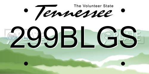 299BLGS Tennessee License Plate