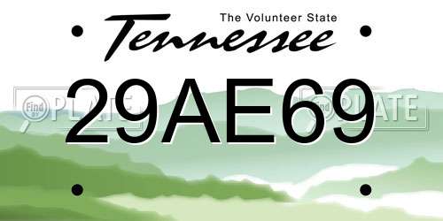 29AE69 Tennessee License Plate