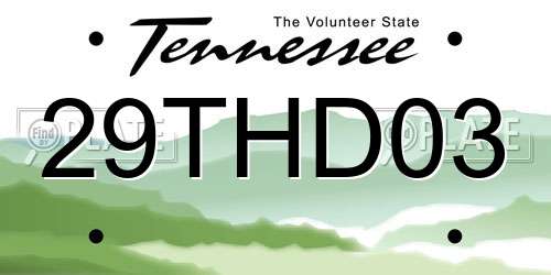 29THD03 Tennessee License Plate