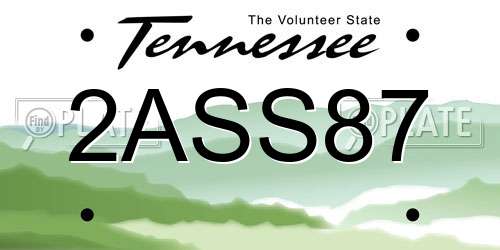 2ASS87 Tennessee License Plate